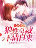 权少绝宠替嫁甜妻