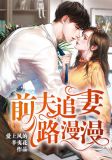 前夫追妻路漫漫