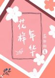 [娱乐圈]花样年华