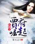 红楼之贾府崛起