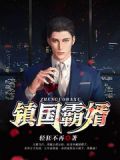 镇国霸婿