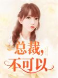 总裁，不可以