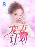 总裁的宠妻计划