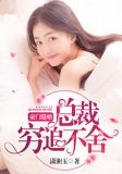 豪门隐婚：总裁穷追不舍