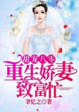 甜宠八零，重生娇妻致富忙