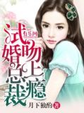 试婚总裁吻上瘾