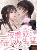 一夜缠欢：陆少太生猛