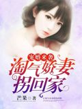 宠婚来袭：淘气娇妻拐回家