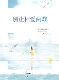 别让情两难歌词