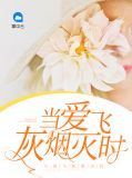 当爱飞灰烟灭时程诺