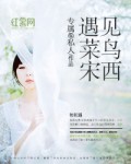 遇见菜鸟宋西