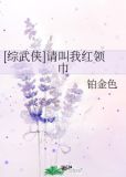 [综武侠]请叫我红领巾