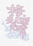 梅夫人宠夫日常