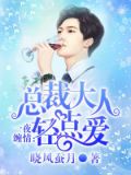 一夜缠情：总裁大人轻点爱