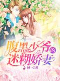 腹黑少爷的迷糊甜妻