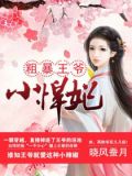 粗暴王爷小悍妃