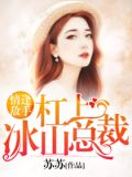 杠上冰山总裁：情逢敌手