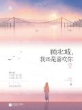 顾北城，我还是喜欢你2