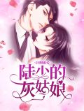 闪婚蜜爱：陆少的灰姑娘乔伊