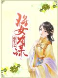 重生之将女有谋冥靖渊
