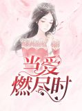 当爱燃尽时林小艾