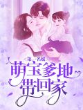 第一名媛：萌宝爹地带回家江黎秋
