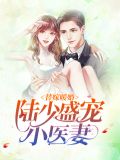 替嫁暖婚：陆少盛宠小医妻季月陆绎宸