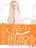 宠妻如命：闪婚总裁狠给力