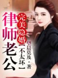完美隐婚，律师老公不太坏