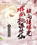 我在桃源修仙，被向往曝光
