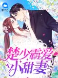 楚少霸爱小甜妻凌菲音