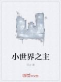 小世界之主