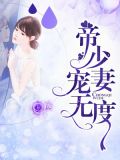 北境少帅