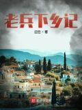老兵下乡记