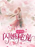 司少的闪婚秘宠苏韵司耀