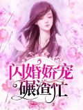 闪婚娇宠碾渣忙