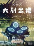 系统大大别出错
