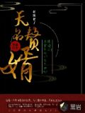 无名赘婿