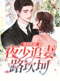 殇情陌路：夜少追妻路坎坷凌薇夜寒霆
