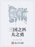 三国之匹夫之勇