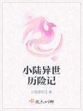 小美人的异世历险记