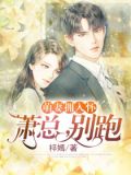 萌妻拥入怀：萧总，别跑
