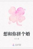 想和你拼个婚