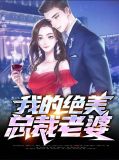 我的绝美总裁老婆庄岩于冰