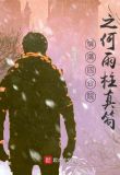 情满四合院之何雨柱真笱