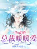 一孕成婚：总裁暖暖爱