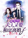 蓝先生：夫人又要和您离婚了文果蓝慕樵