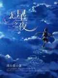 无星之夜