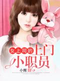 女上司的上门小职员