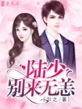 陆少，别来无恙